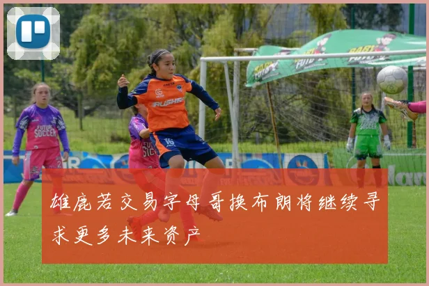 雄鹿若交易字母哥换布朗将继续寻求更多未来资产