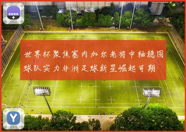 世界杯聚焦塞内加尔老将中轴稳固球队实力非洲足球新星崛起可期